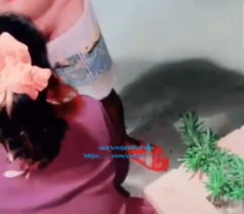 คลิปหลุด VK คู่เทพไทย ตั้งกล้องเย็ด มาถึงเมียจับควยโม๊คก่อนเลย ทำเอาพี่เทพเขาอ่อนเลยจ้า