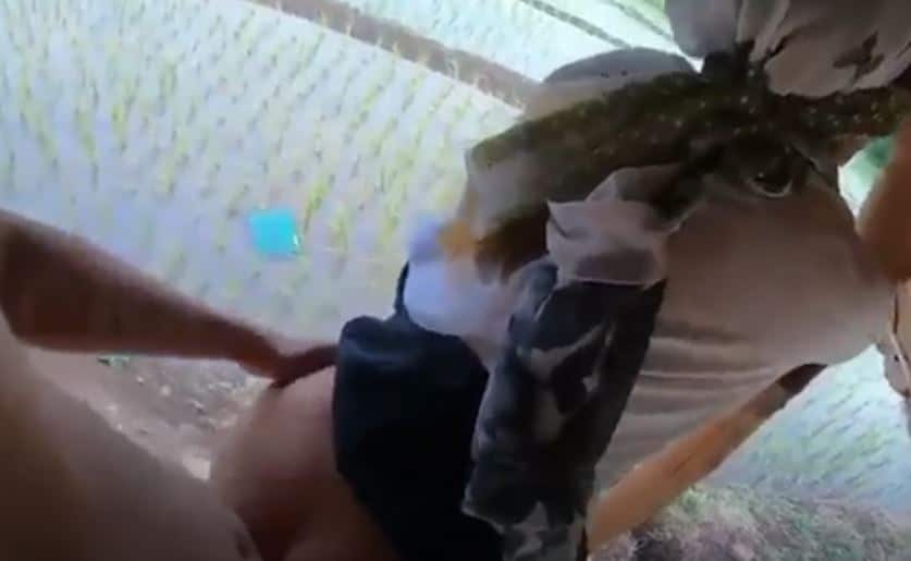 คลิปหลุด VK งานไทยของชายต๊อง พาสาวมาล่อที่ศาลาข้างนา กระหนำเย็ดมันส์ควยเลย