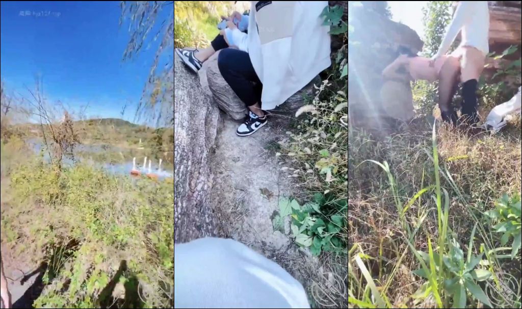 คลิปหลุดงานทางบ้าน พาเมียแวะข้างทางจับล่อหีท่าหมาซะเลย